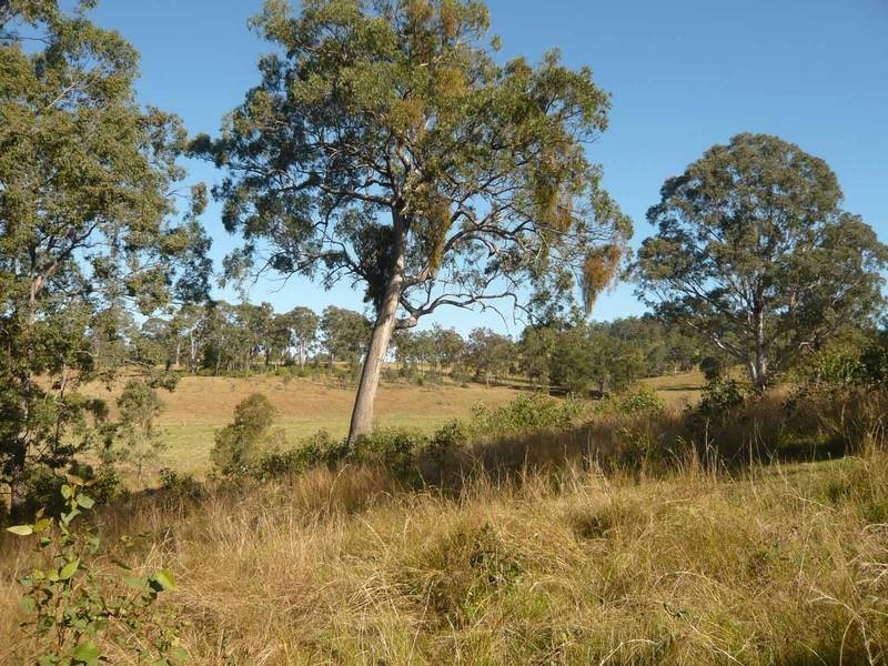 Dyraaba NSW 2470