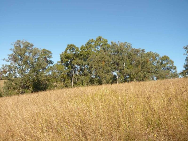 Dyraaba NSW 2470