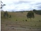 Hogarth Range NSW 2469