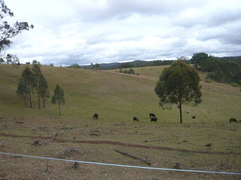 Hogarth Range NSW 2469