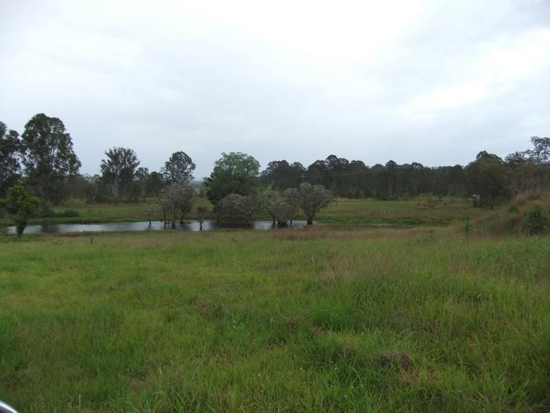 1270 Mongogarie Road, Mongogarie NSW 2470
