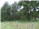 1270 Mongogarie Road, Mongogarie NSW 2470