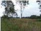 1270 Mongogarie Road, Mongogarie NSW 2470