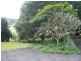 500 Gores Road, Spring Grove NSW 2470