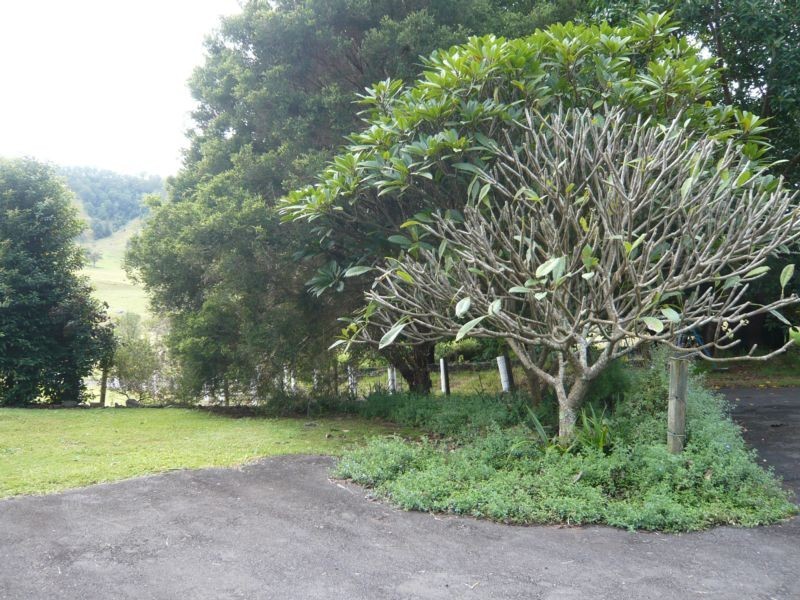 500 Gores Road, Spring Grove NSW 2470