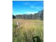 Bottle Creek NSW 2469