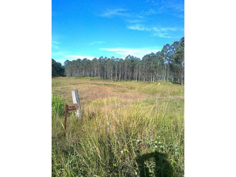 Bottle Creek NSW 2469