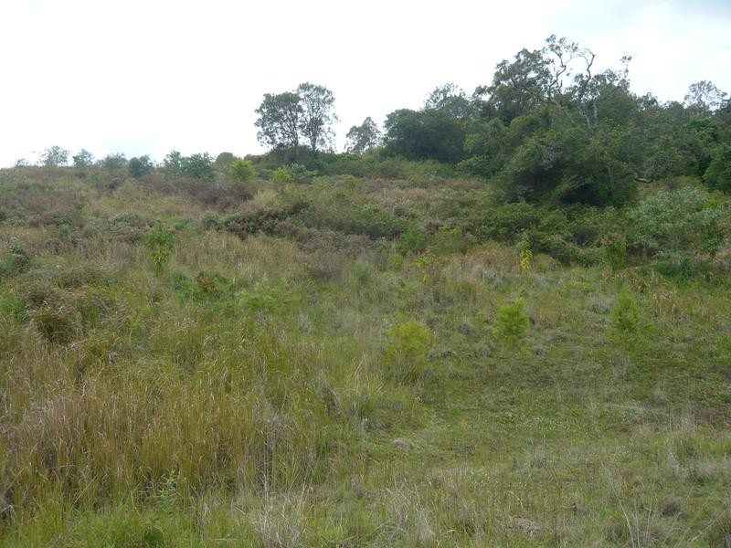 Boorabee Park NSW 2480