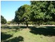 80 Emu Park Road, Ellangowan NSW 2470