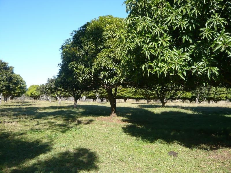 80 Emu Park Road, Ellangowan NSW 2470