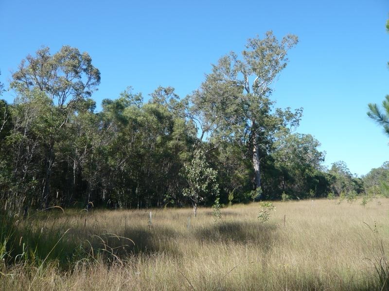 Lot 137,  Old Tenterfield Road, Rappville NSW 2469
