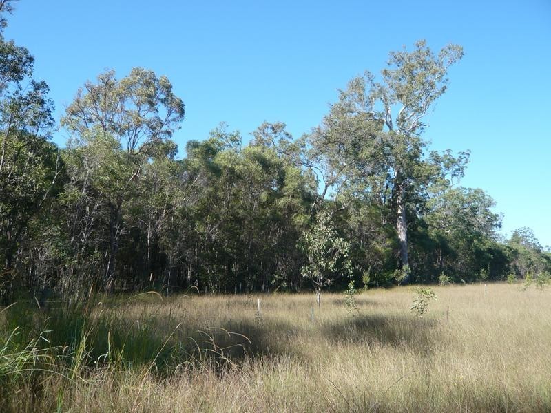 Lot 137,  Old Tenterfield Road, Rappville NSW 2469