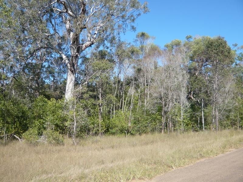 Lot 137,  Old Tenterfield Road, Rappville NSW 2469