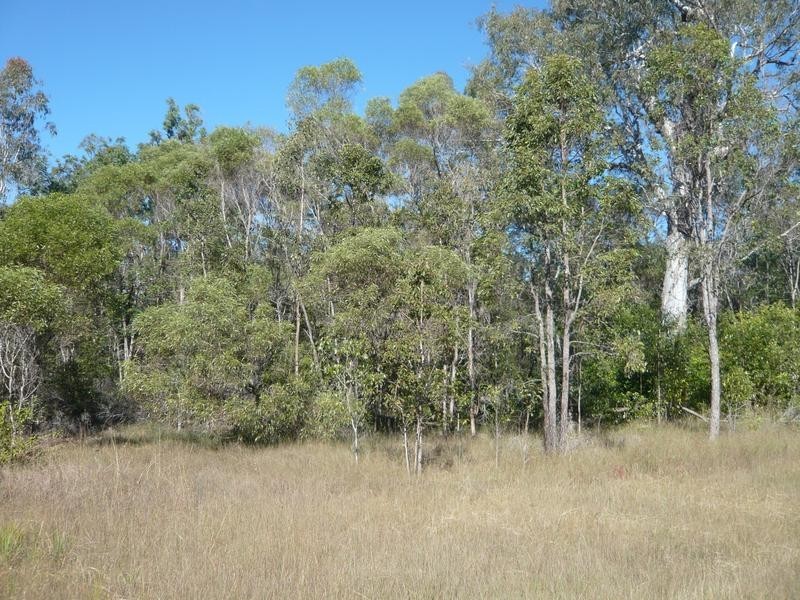 Lot 137,  Old Tenterfield Road, Rappville NSW 2469