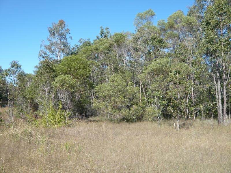 Lot 137,  Old Tenterfield Road, Rappville NSW 2469