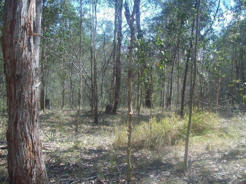 Shannon Brook NSW 2470