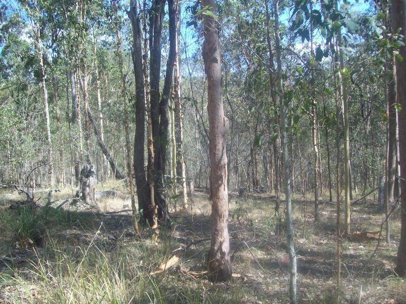 Shannon Brook NSW 2470