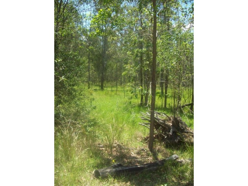 Shannon Brook NSW 2470