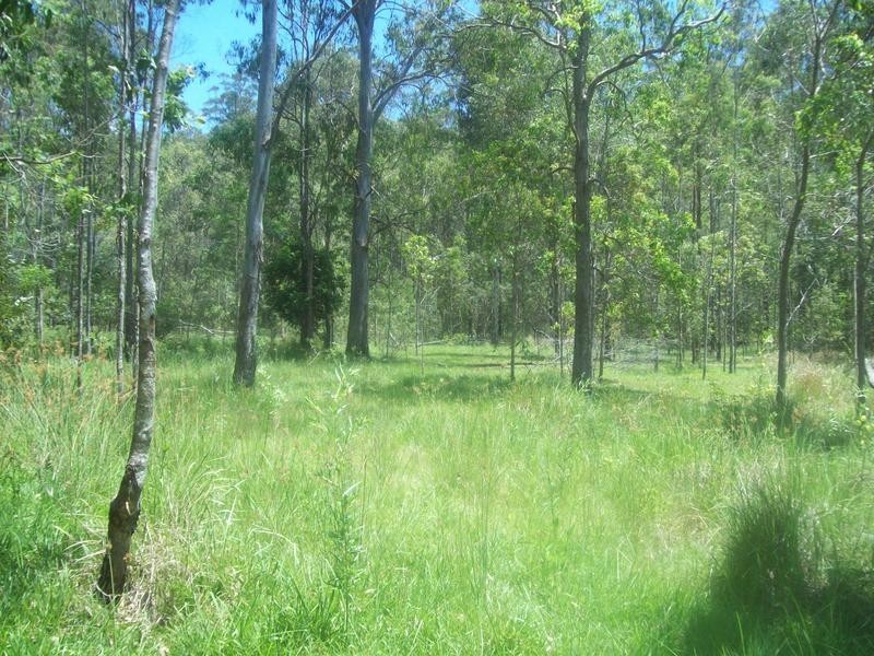 Shannon Brook NSW 2470