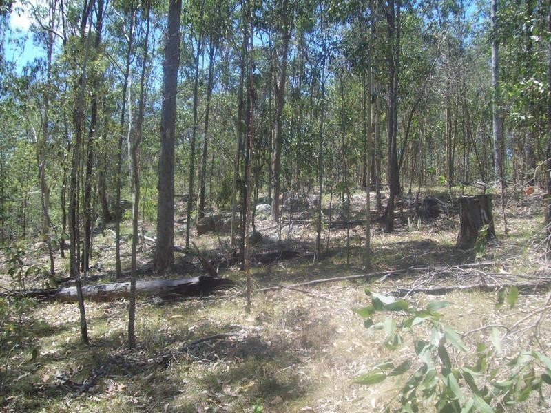 Shannon Brook NSW 2470