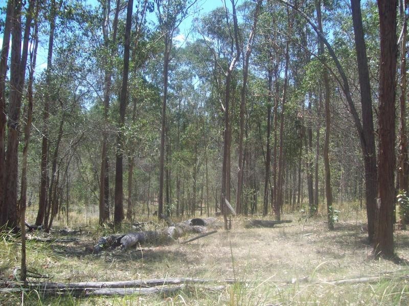 Shannon Brook NSW 2470