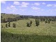 Ettrick NSW 2474