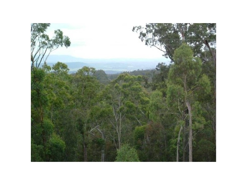 Drake NSW 2469