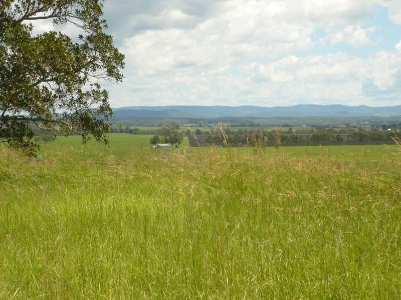 Fairy Hill NSW 2470