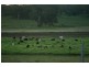 Spring Grove NSW 2470