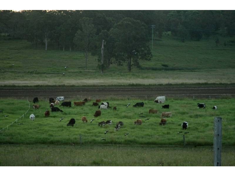 Spring Grove NSW 2470