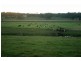 Spring Grove NSW 2470