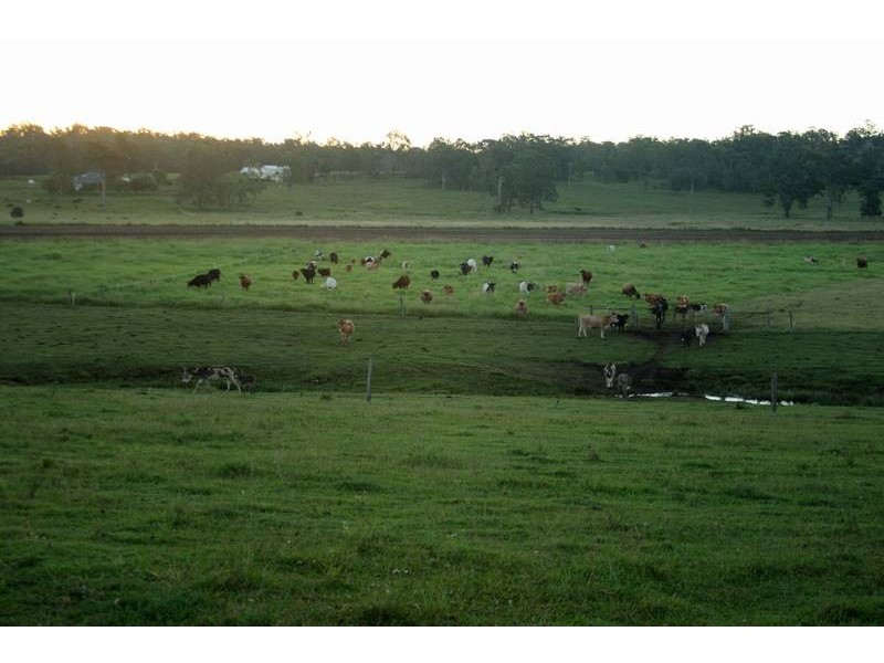 Spring Grove NSW 2470