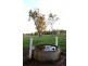 Spring Grove NSW 2470