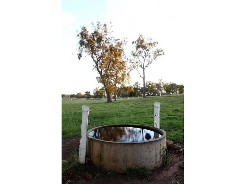Spring Grove NSW 2470
