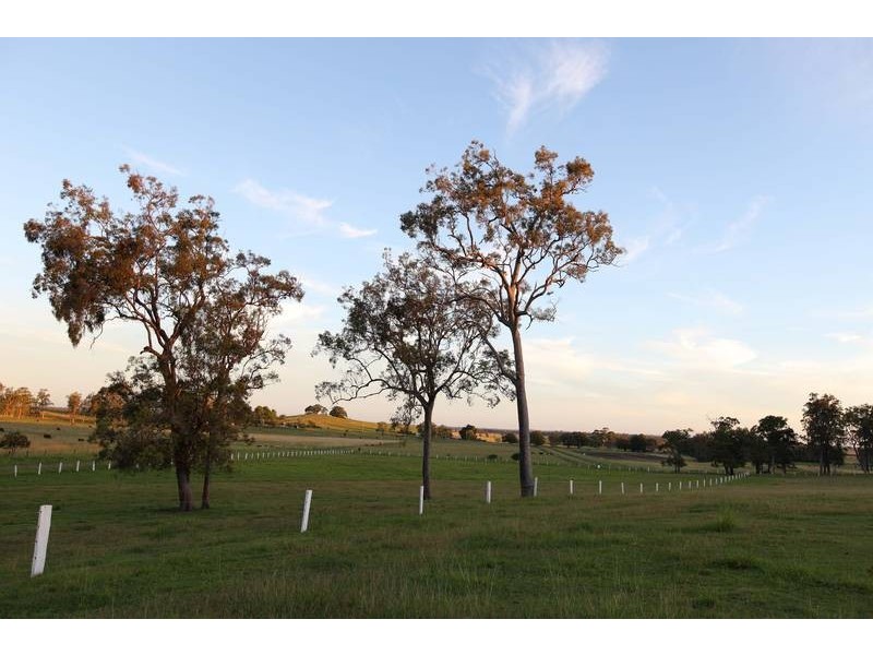 Spring Grove NSW 2470