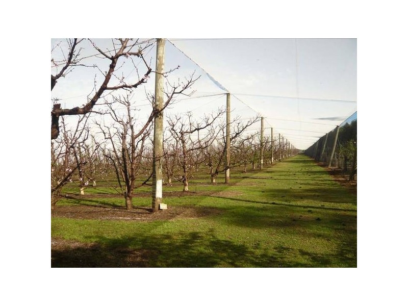 Hogarth Range NSW 2469