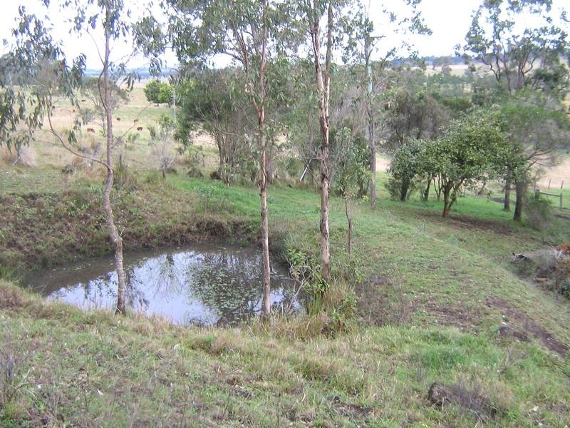 Spring Grove NSW 2470