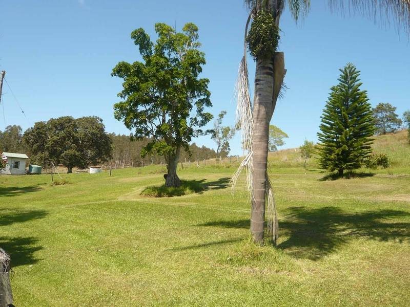 Theresa Creek NSW 2469