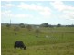 Mckees Hill NSW 2480