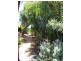 424 Mica Street, Broken Hill NSW 2880