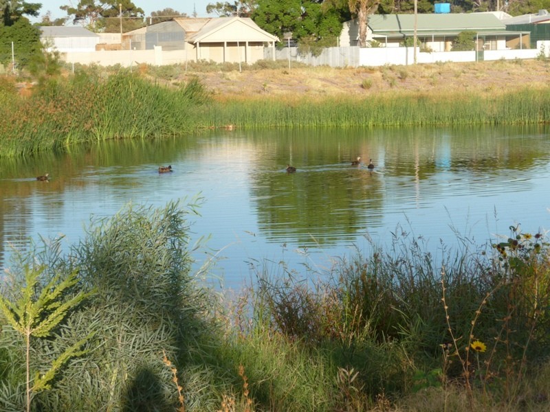 565 Wolfram Street, Broken Hill NSW 2880