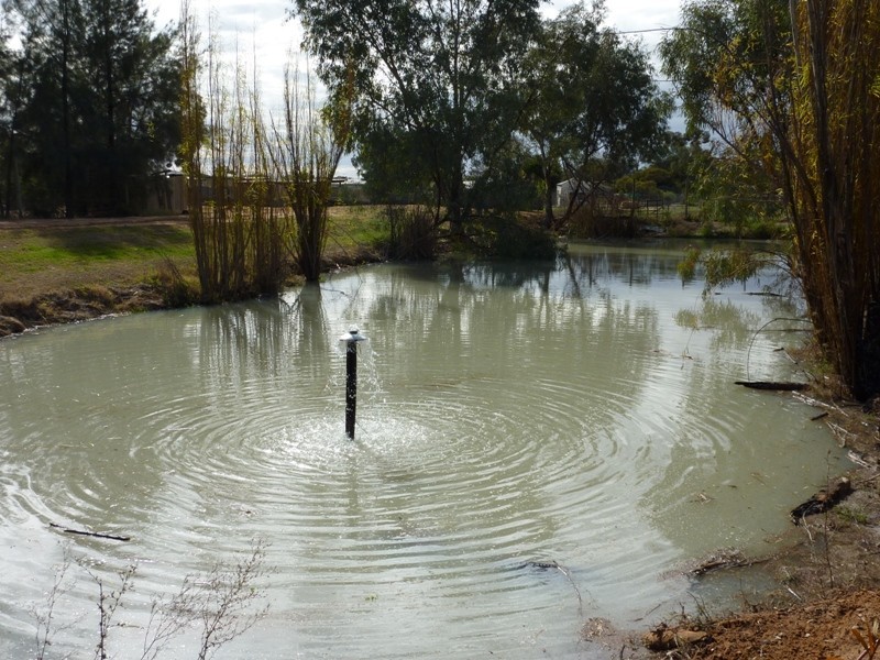 1 Paradise Way, Menindee NSW 2879