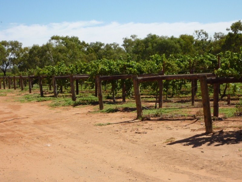 New Block Ivanhoe Road, Menindee NSW 2879