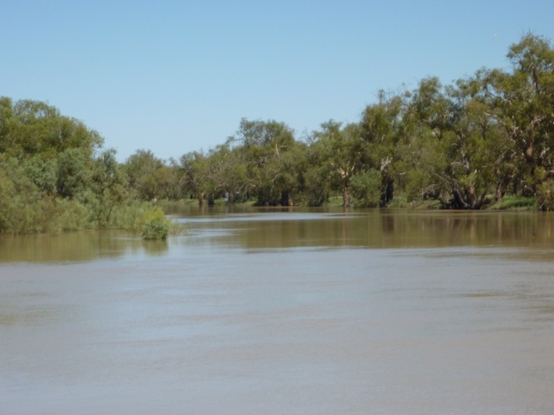New Block Ivanhoe Road, Menindee NSW 2879