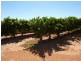 New Block Ivanhoe Road, Menindee NSW 2879