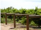 New Block Ivanhoe Road, Menindee NSW 2879