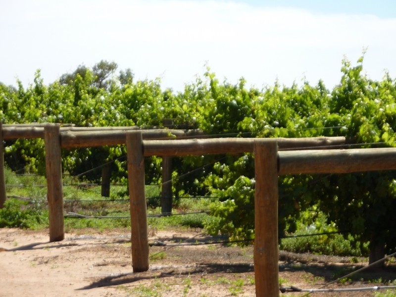 New Block Ivanhoe Road, Menindee NSW 2879