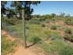 New Block Ivanhoe Road, Menindee NSW 2879