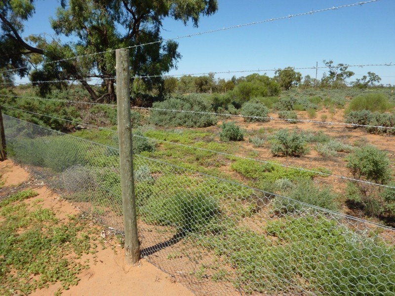 New Block Ivanhoe Road, Menindee NSW 2879