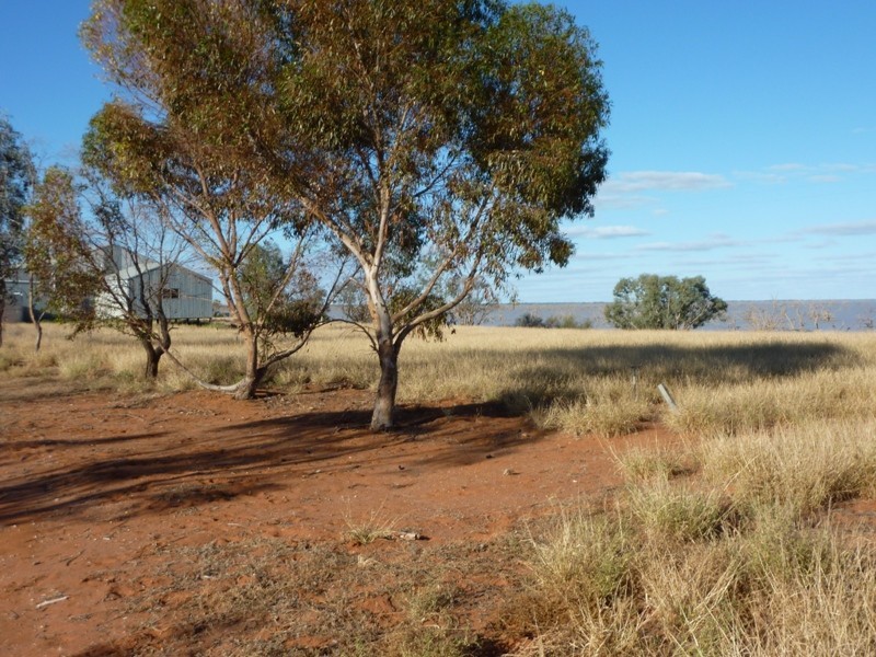 LOT 2 Wilcannia Road, Menindee NSW 2879